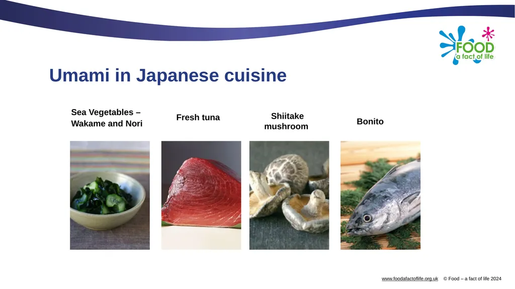 Umami What is umami? Umami is a savoury taste, - slide 9 of 14