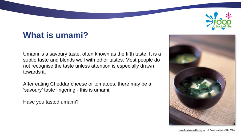 Umami What is umami? Umami is a savoury taste, - slide 2 of 14