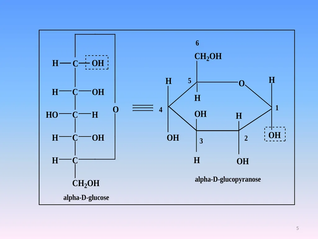 Monosaccharides Class :I B.Sc., Zoology Sub: - slide 5 of 11