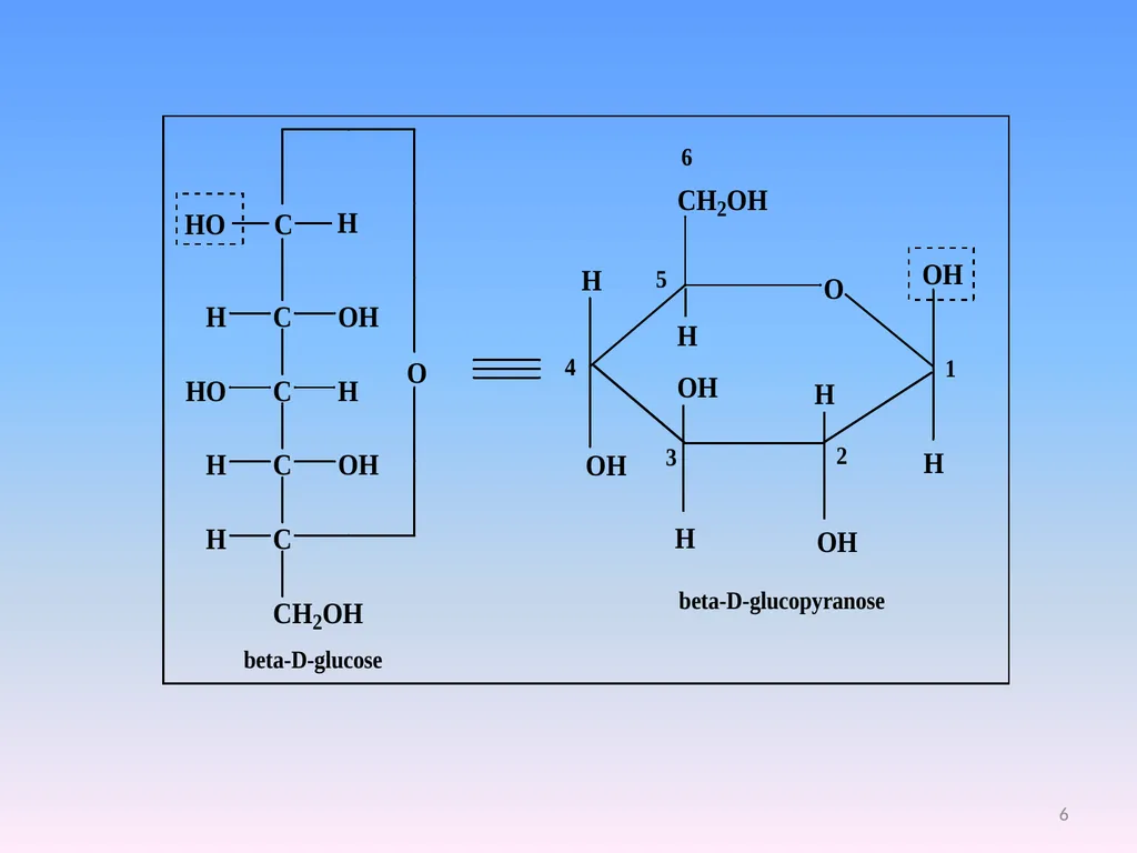 Monosaccharides Class :I B.Sc., Zoology Sub: - slide 6 of 11