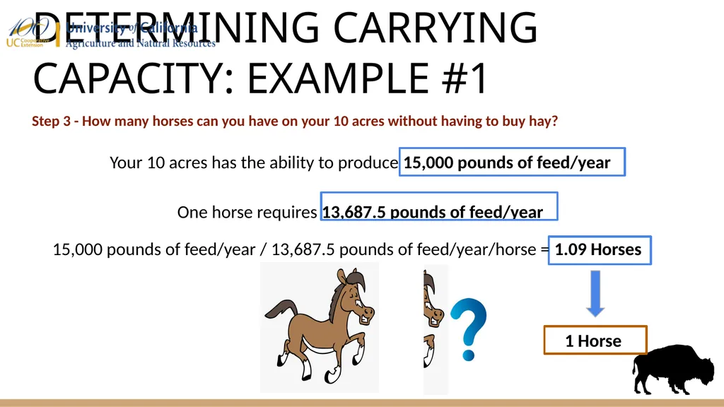 HOW MANY ANIMALS CAN YOUR LAND SUPPORT? First - slide 9 of 13