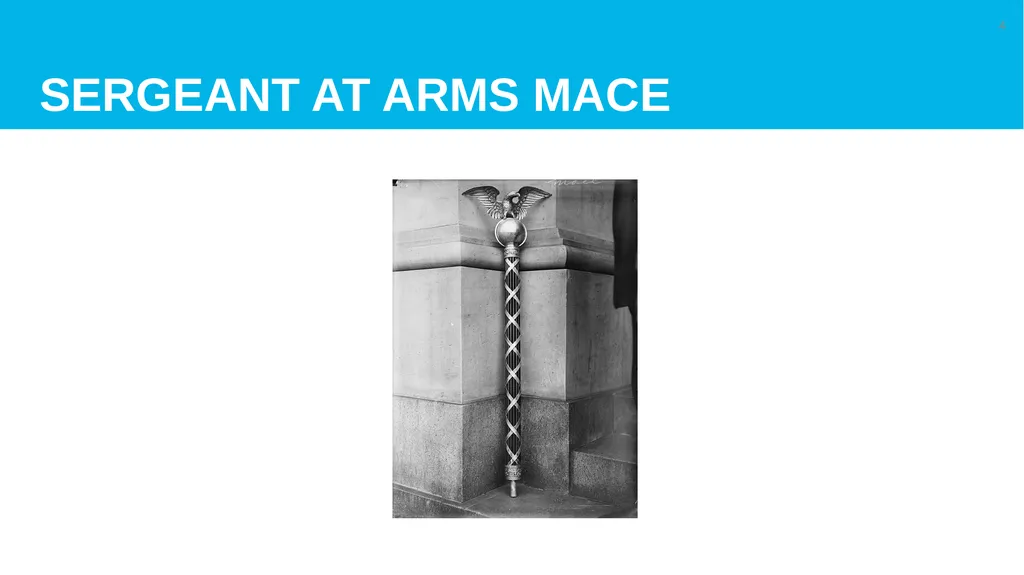 Sergeant at Arms 101 “The Fun Job” Game Plan: The - slide 4 of 11