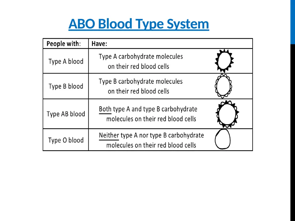 ABO Blood & Rh Grouping system Lab# 3 BCH 471 - slide 9 of 16