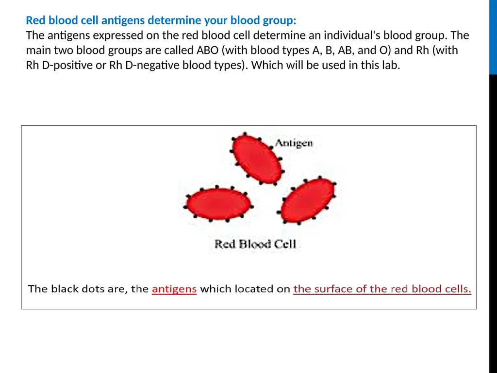 ABO Blood & Rh Grouping system Lab# 3 BCH 471 - slide 4 of 16