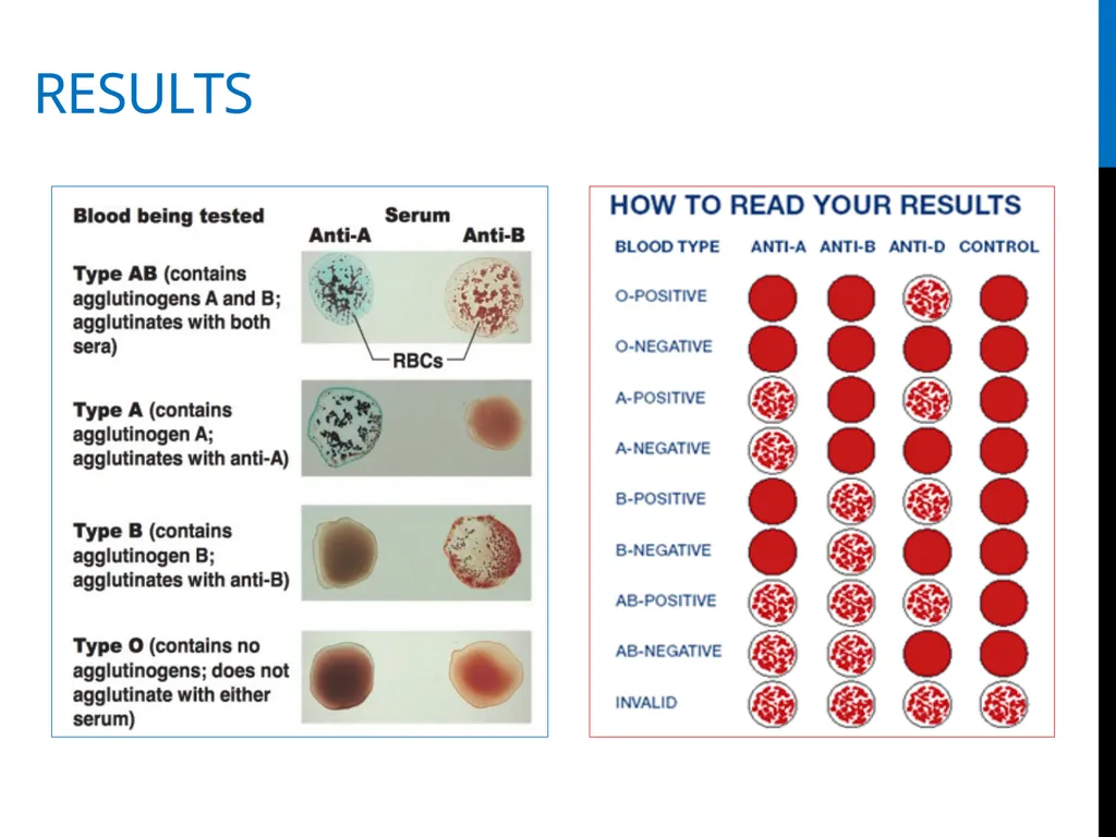 ABO Blood & Rh Grouping system Lab# 3 BCH 471 - slide 16 of 16