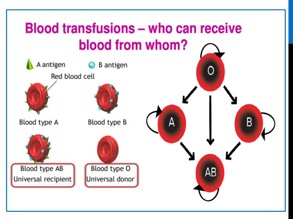 ABO Blood & Rh Grouping system Lab# 3 BCH 471 - slide 11 of 16