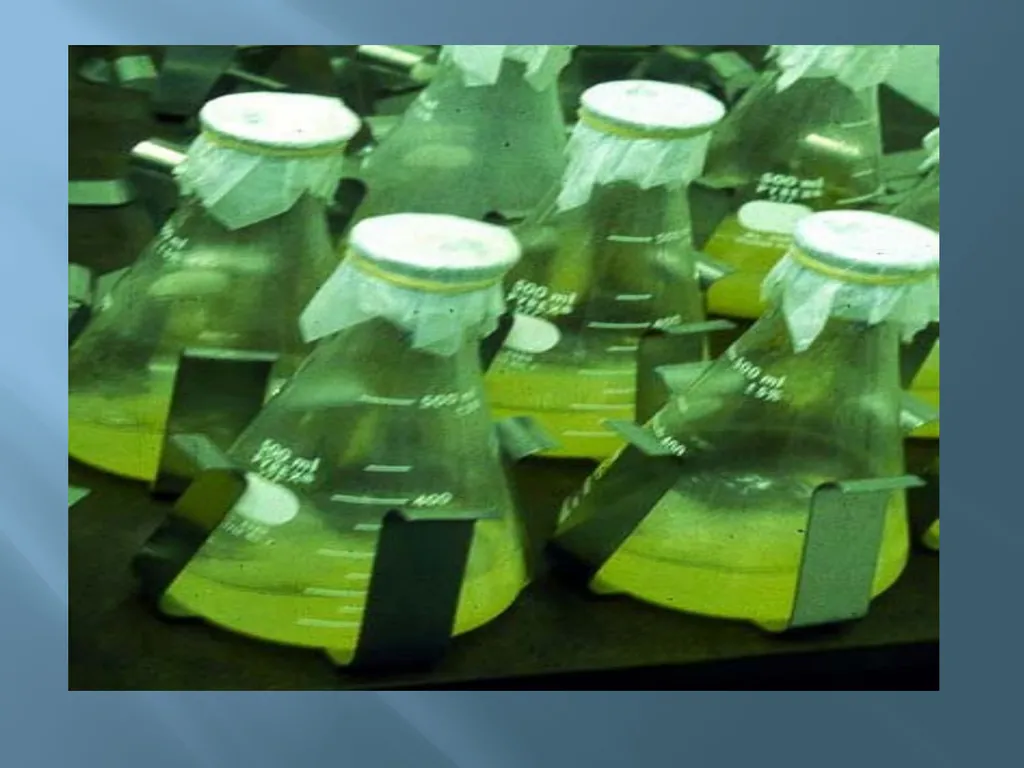Animal tissue culture Lec.4 Animal tissue culture: - slide 12 of 22