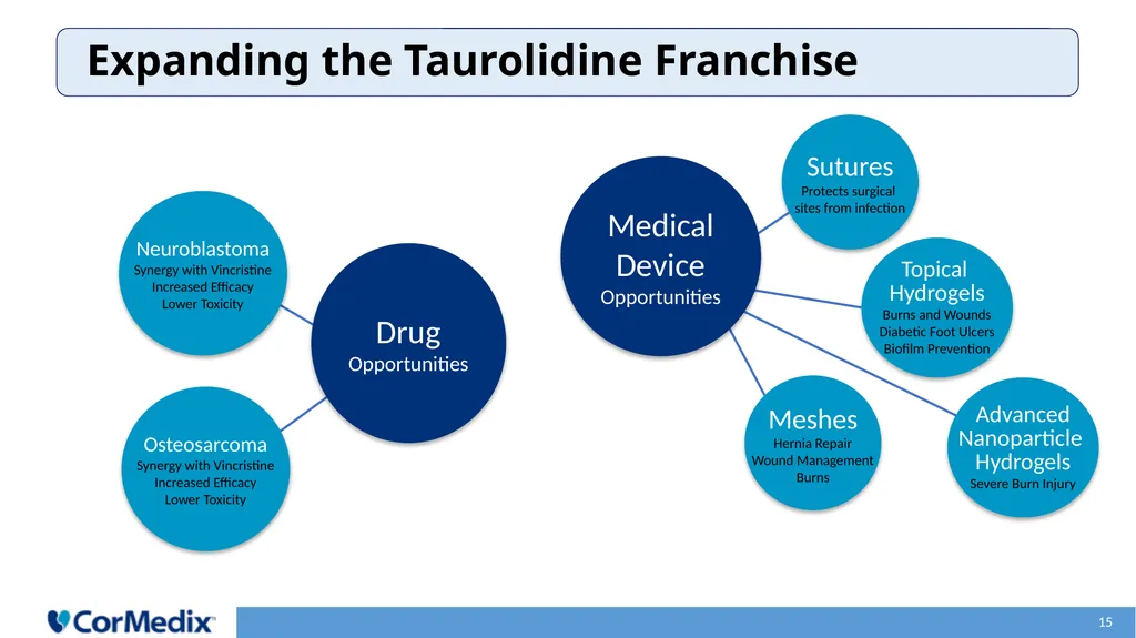 Anti-Infective Solutions Leading Development of - slide 15 of 24