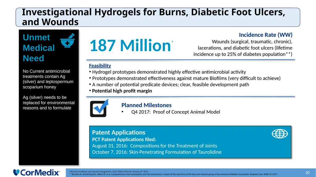 Anti-Infective Solutions Leading Development of - slide 20 of 24