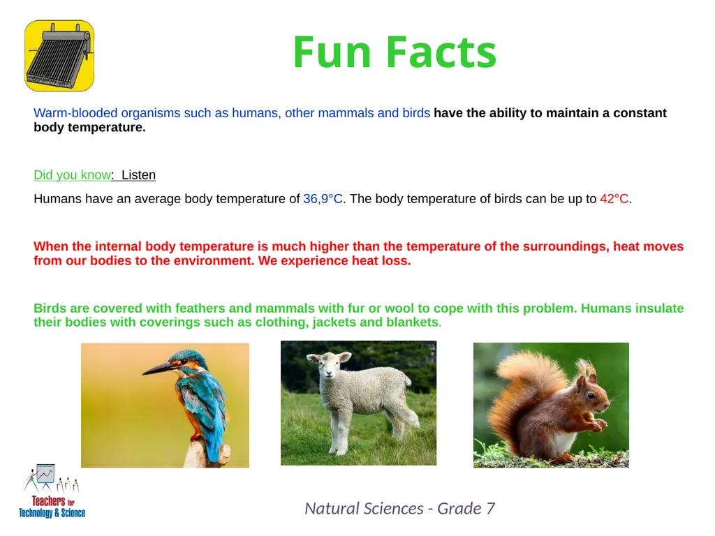 Natural Sciences Grade 7 Term 3: Energy and Change - slide 6 of 9