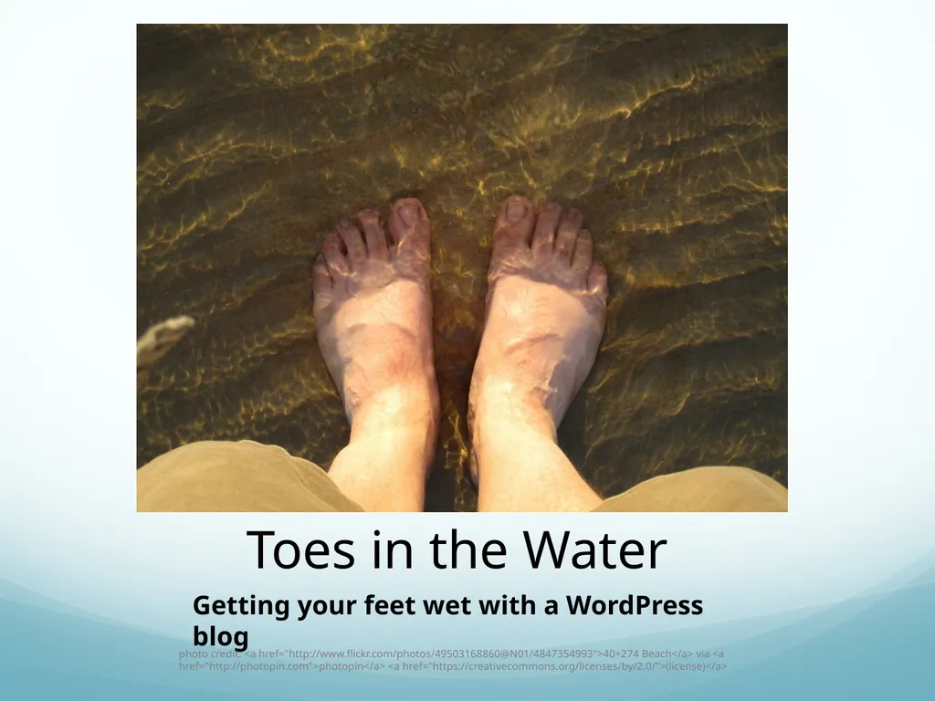 Toes in the Water Getting your feet wet with a - slide 1 of 22