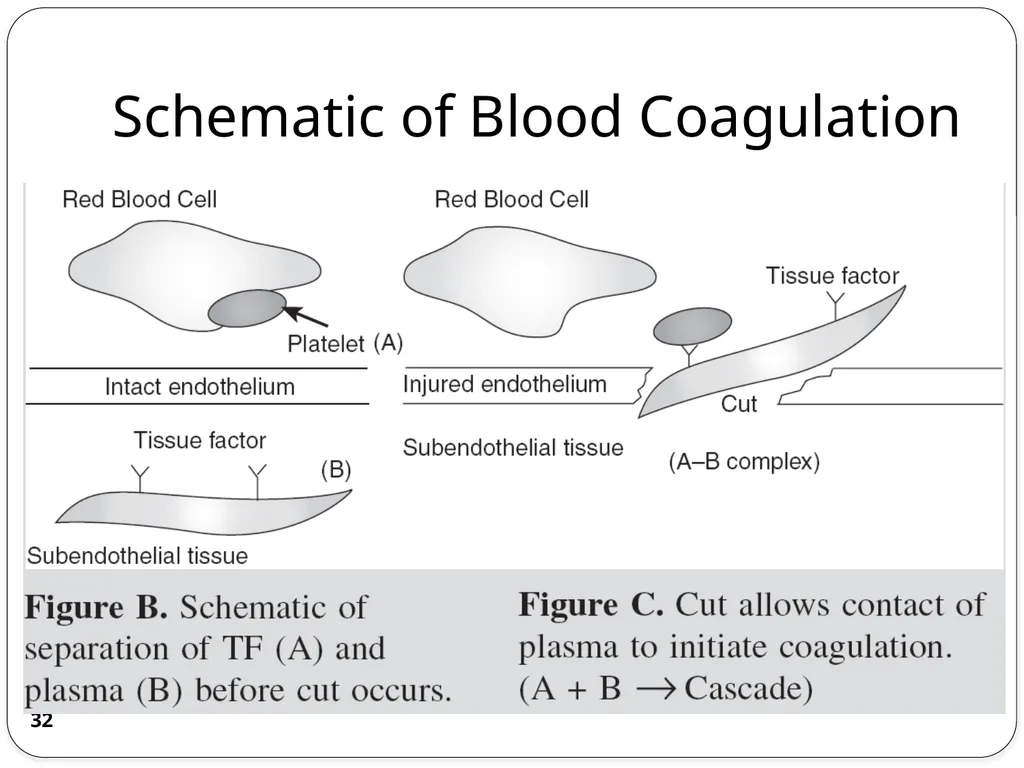Chemical Reaction Engineering (CRE) is the field - slide 32 of 33