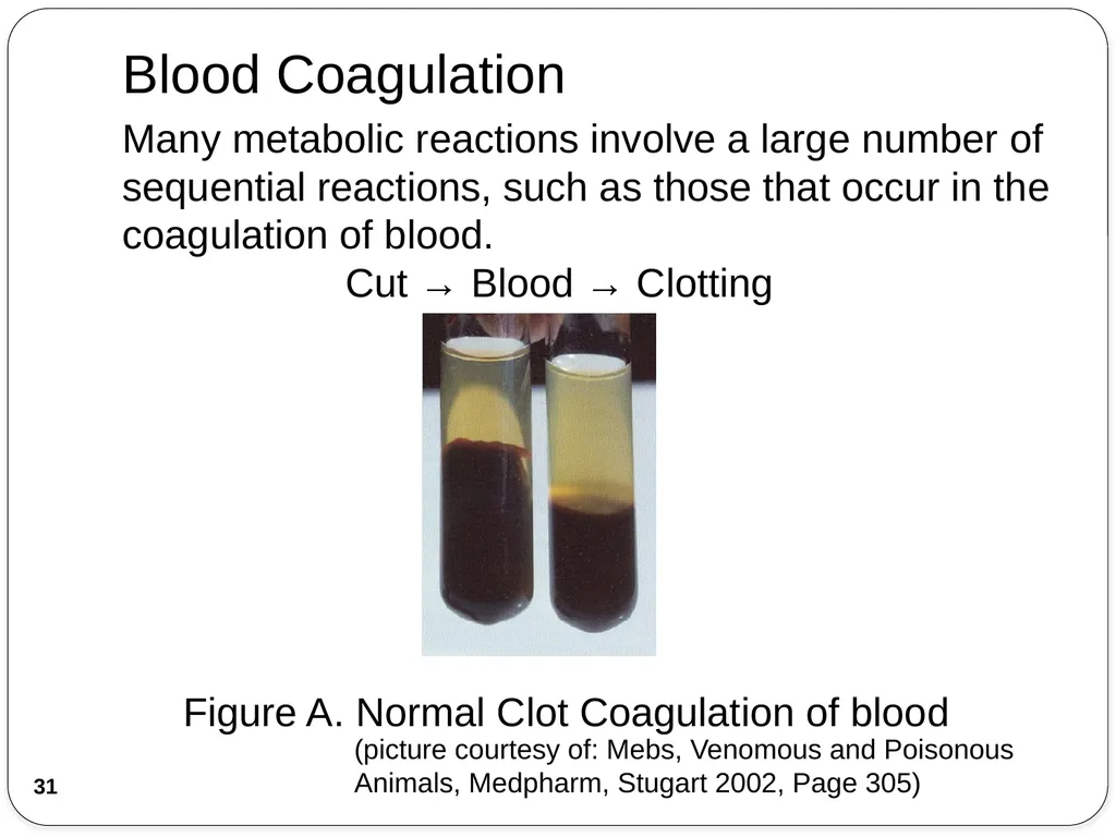 Chemical Reaction Engineering (CRE) is the field - slide 31 of 33