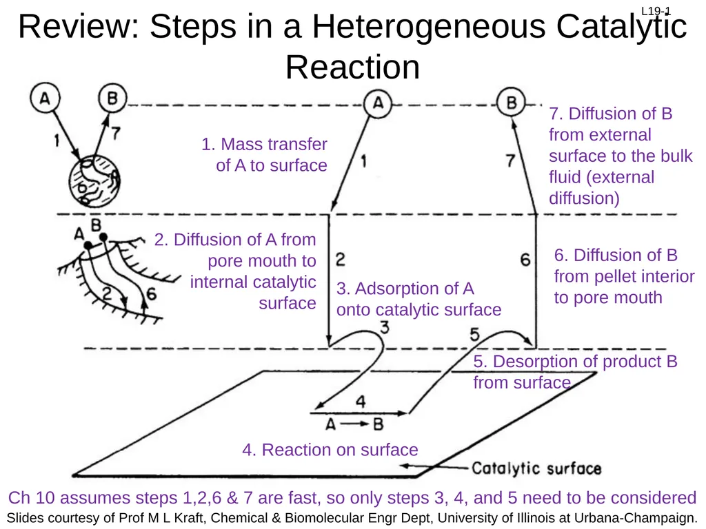 1. Mass transfer of A to surface 2. Diffusion of - slide 1 of 18