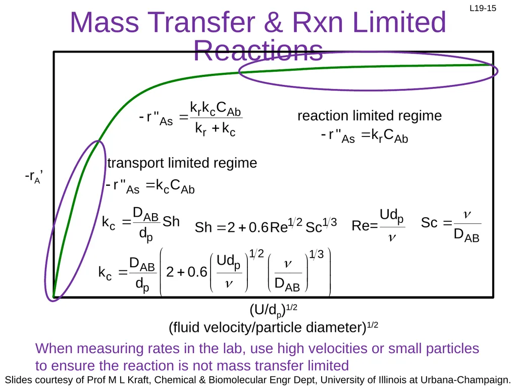 1. Mass transfer of A to surface 2. Diffusion of - slide 15 of 18