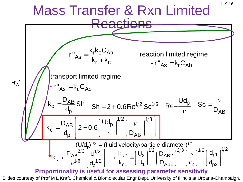 1. Mass transfer of A to surface 2. Diffusion of - slide 16 of 18