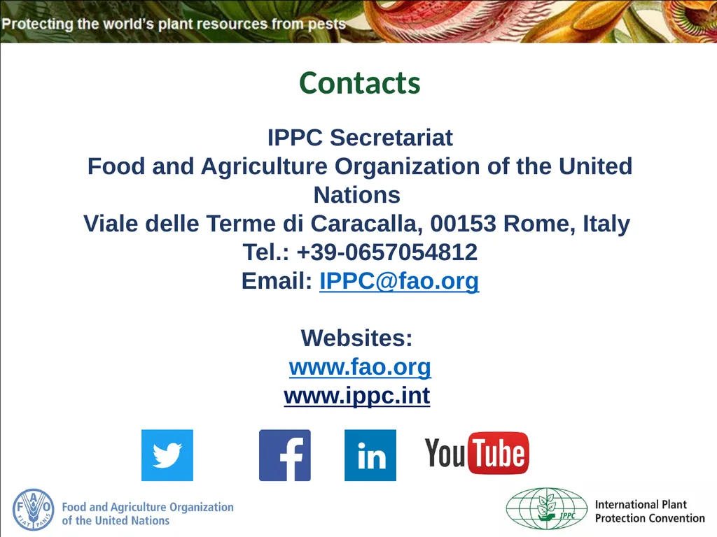 Sea Containers Task Force Update IPPC Secretariat - slide 20 of 20