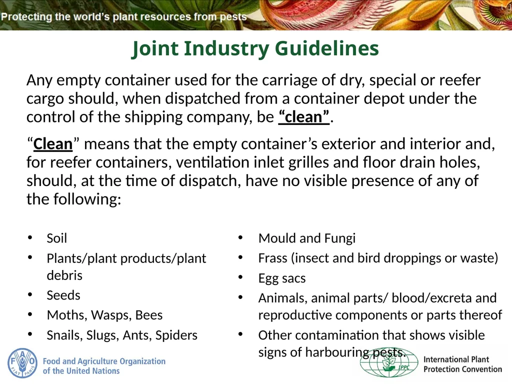 Sea Containers Task Force Update IPPC Secretariat - slide 11 of 20