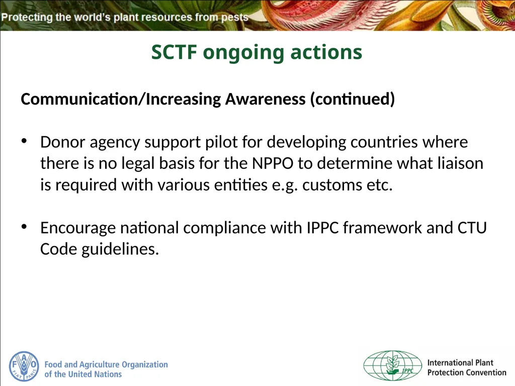 Sea Containers Task Force Update IPPC Secretariat - slide 19 of 20