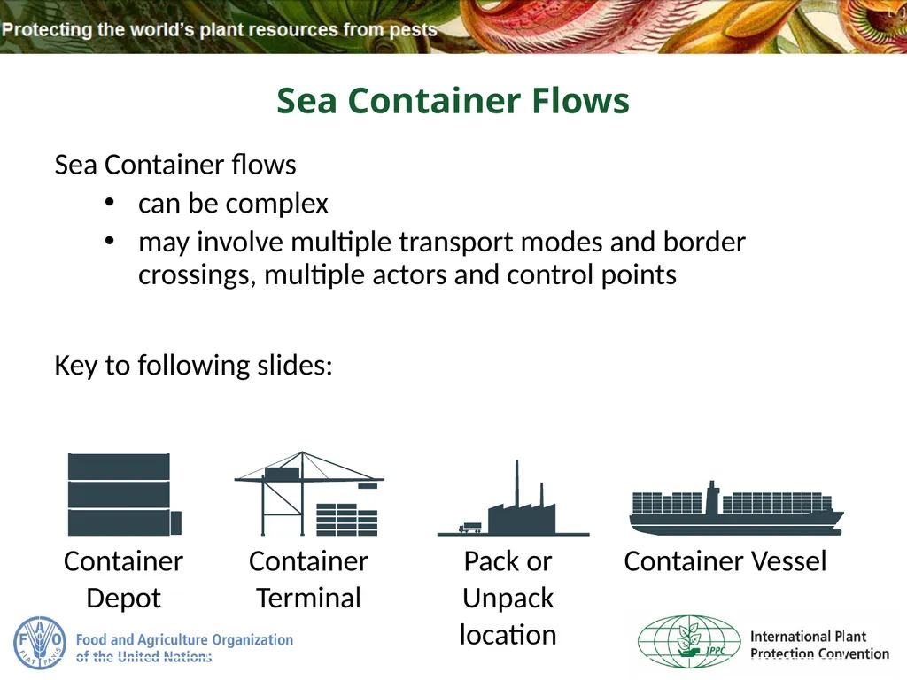 Sea Containers Task Force Update IPPC Secretariat - slide 4 of 20