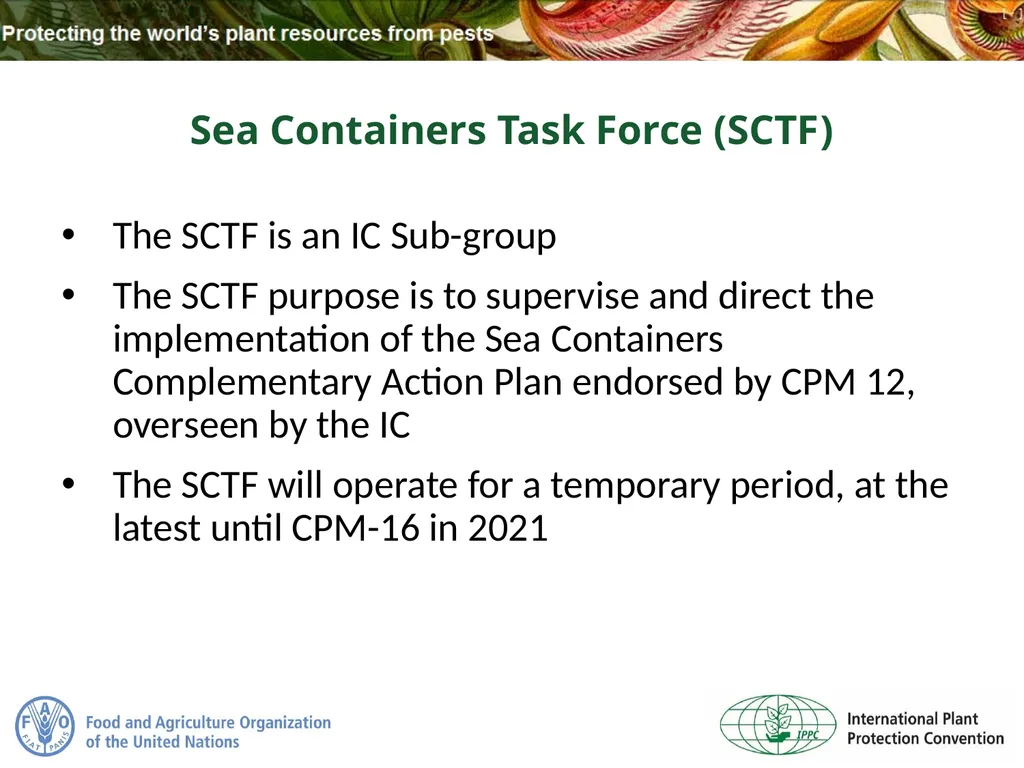 Sea Containers Task Force Update IPPC Secretariat - slide 13 of 20