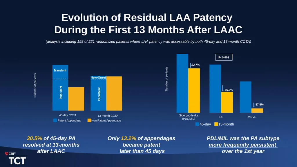 One-Year Outcomes after Amulet or Watchman/FLX - slide 13 of 15