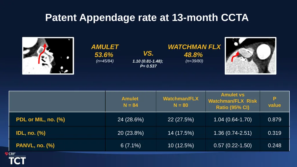 One-Year Outcomes after Amulet or Watchman/FLX - slide 10 of 15