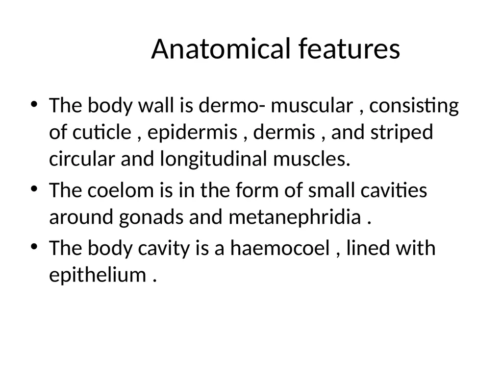 GENERAL CHARACTERS OF PHYLUM ONYCHOPHORA PRESENTED - slide 7 of 12