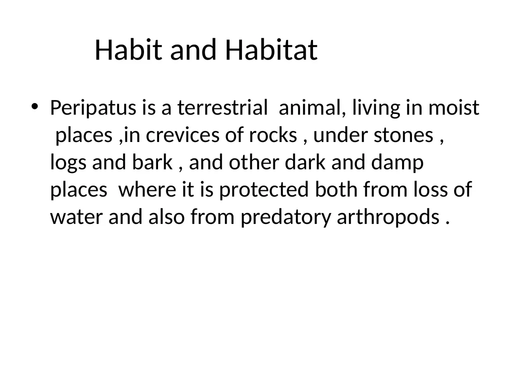 GENERAL CHARACTERS OF PHYLUM ONYCHOPHORA PRESENTED - slide 5 of 12