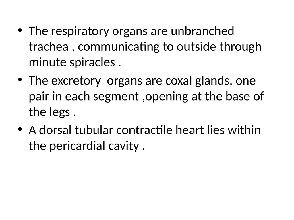 GENERAL CHARACTERS OF PHYLUM ONYCHOPHORA PRESENTED - slide 9 of 12