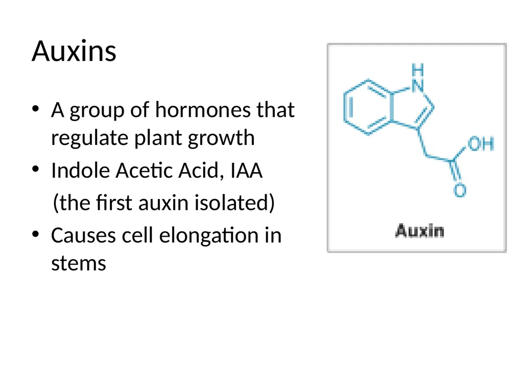 ORIENTATION RESPONSES How organisms position - slide 33 of 42