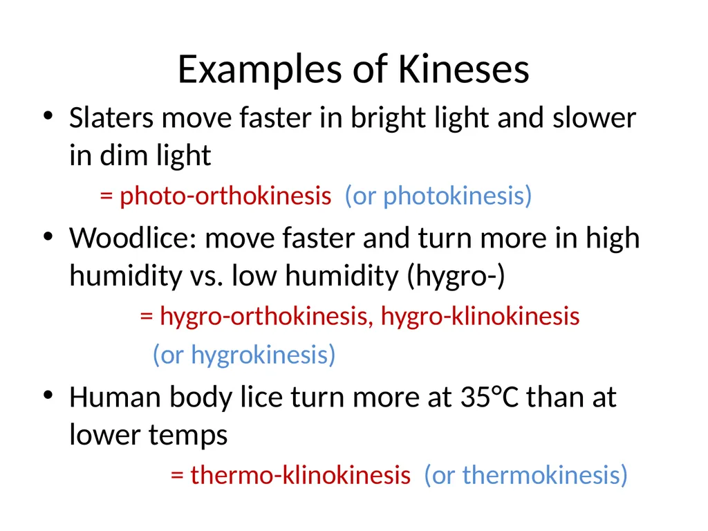 ORIENTATION RESPONSES How organisms position - slide 11 of 42