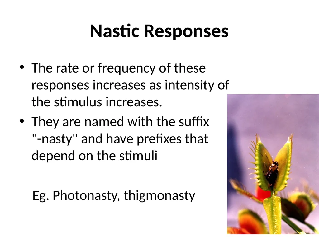 ORIENTATION RESPONSES How organisms position - slide 16 of 42