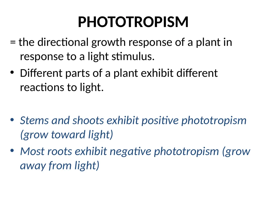 ORIENTATION RESPONSES How organisms position - slide 24 of 42