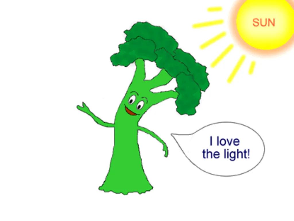ORIENTATION RESPONSES How organisms position - slide 22 of 42