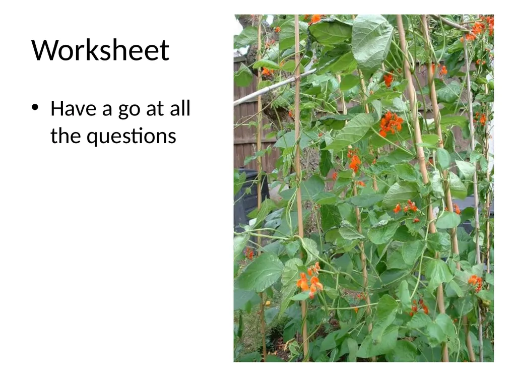 ORIENTATION RESPONSES How organisms position - slide 41 of 42