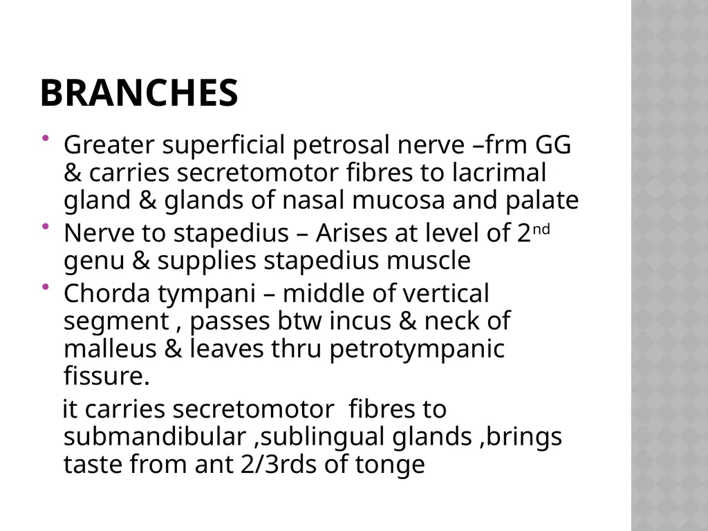 FACIAL NERVE PLASY Dr.Satguru Saran Singh - slide 19 of 53