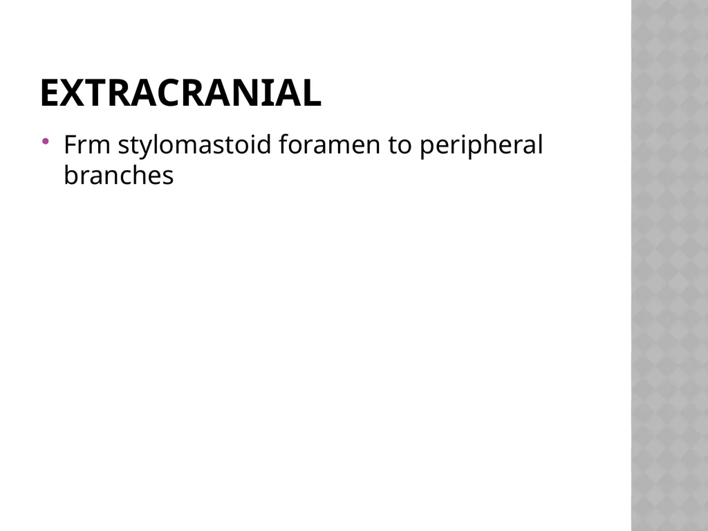 FACIAL NERVE PLASY Dr.Satguru Saran Singh - slide 15 of 53