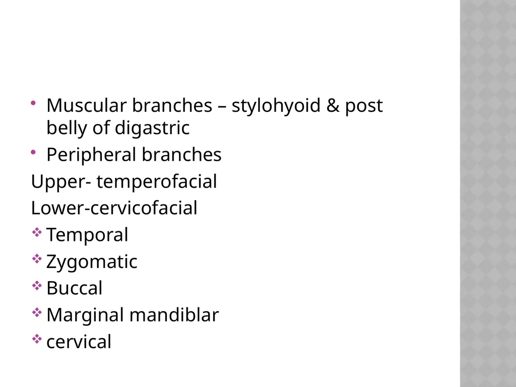FACIAL NERVE PLASY Dr.Satguru Saran Singh - slide 20 of 53