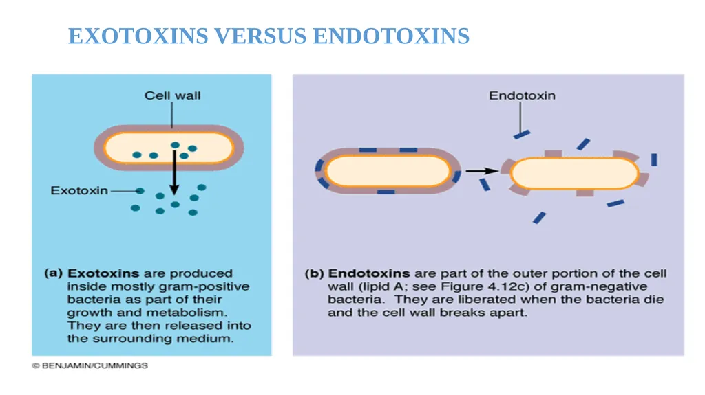 Bacterial Pathogenesis Dr. wasan Abdul-ilah Bakir - slide 25 of 35