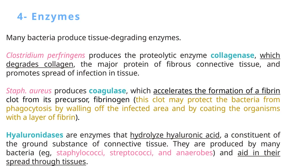Bacterial Pathogenesis Dr. wasan Abdul-ilah Bakir - slide 26 of 35