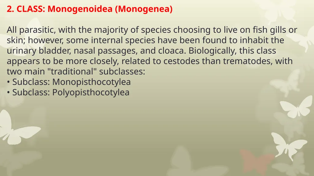 INTRODUCTION TO PLATYHELMINTHES SYSTEMATIC General - slide 4 of 10