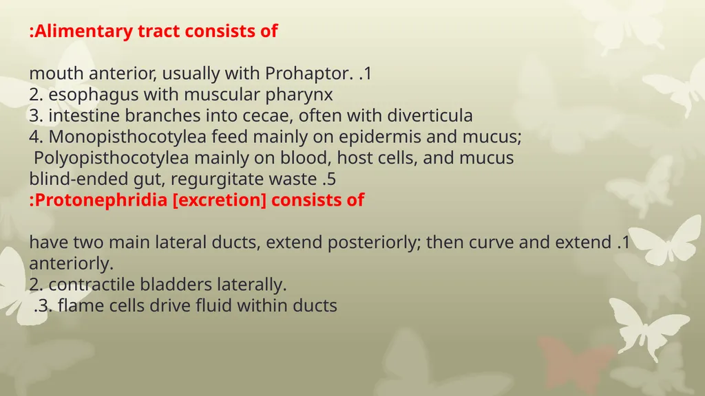 INTRODUCTION TO PLATYHELMINTHES SYSTEMATIC General - slide 7 of 10