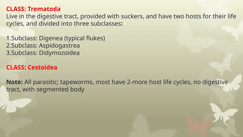 INTRODUCTION TO PLATYHELMINTHES SYSTEMATIC General - slide 5 of 10