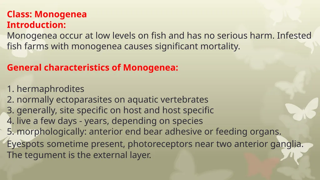 INTRODUCTION TO PLATYHELMINTHES SYSTEMATIC General - slide 6 of 10