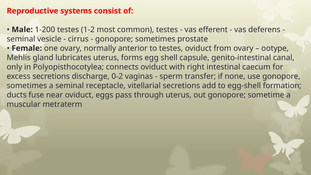 INTRODUCTION TO PLATYHELMINTHES SYSTEMATIC General - slide 8 of 10