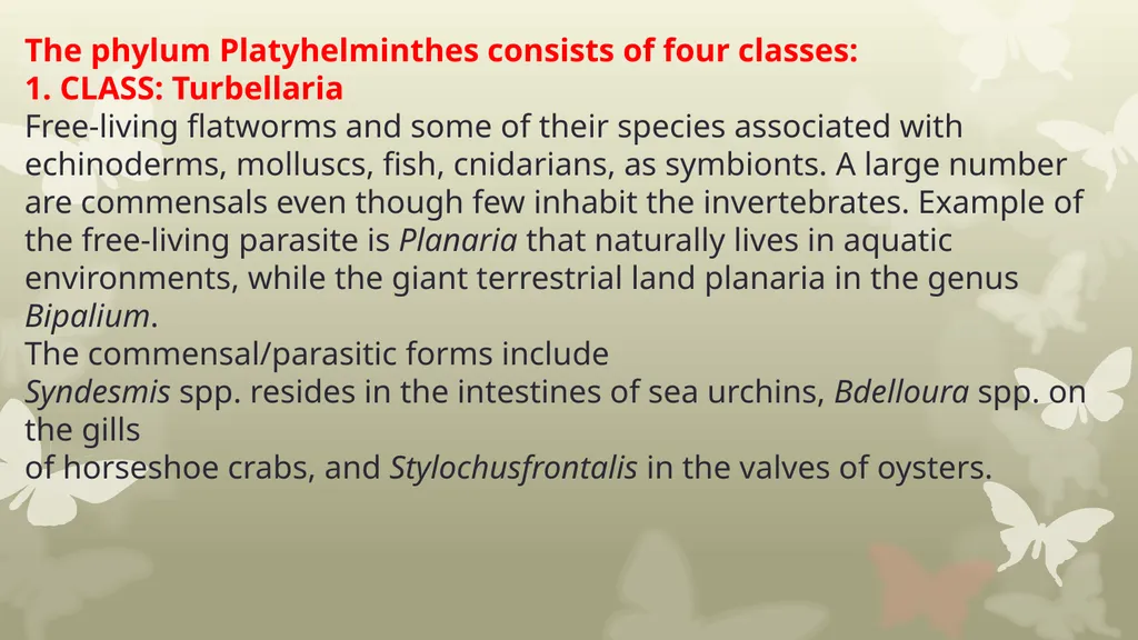 INTRODUCTION TO PLATYHELMINTHES SYSTEMATIC General - slide 3 of 10