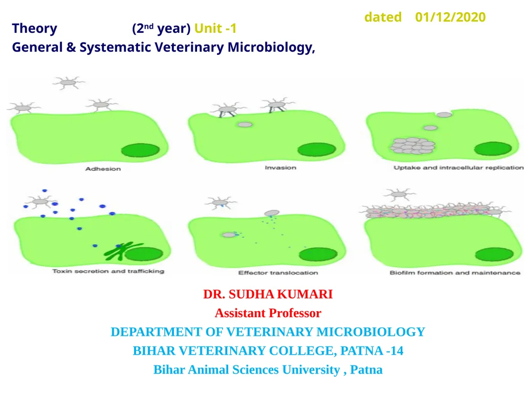 DR. SUDHA KUMARI Assistant Professor DEPARTMENT OF - slide 1 of 20