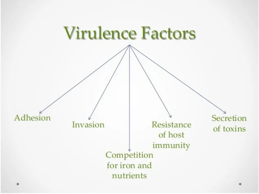 DR. SUDHA KUMARI Assistant Professor DEPARTMENT OF - slide 4 of 20