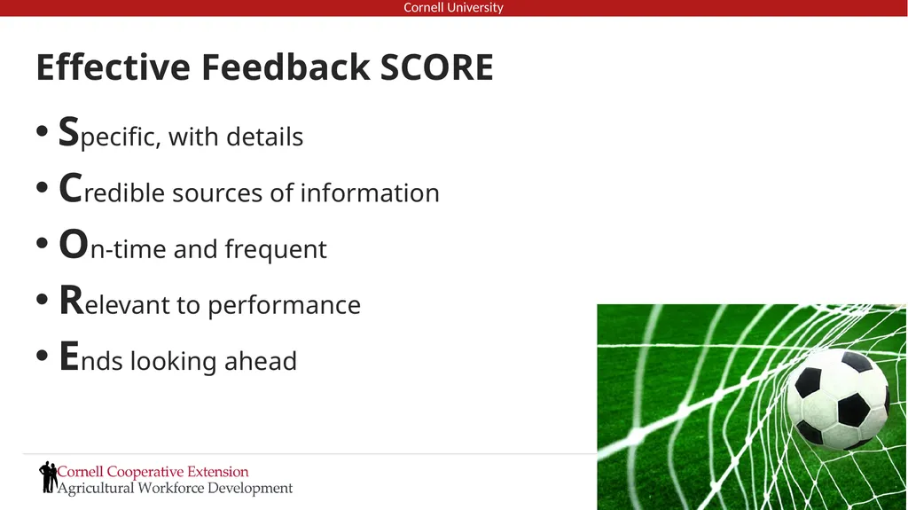 Setting Expectations and Managing Performance - slide 63 of 70